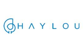 haylou logo 